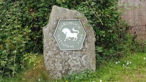 Wild camping  green light for Dartmoor