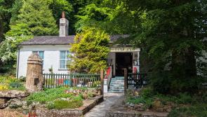 The Storyteller: Popping over to Pixieland