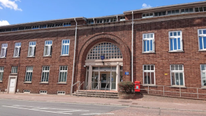 Alison Hernandez: How you can volunteer and make a difference