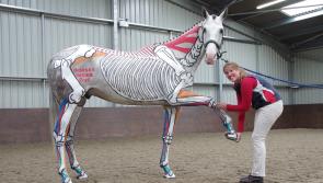 Ponies become living art in equine show near Totnes
