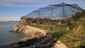 New move in Torquay Living Coasts redevelopment
