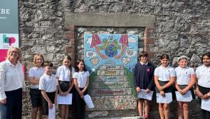 Ellacombe pupils use £10k grant to honour local history