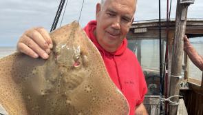 Rays of sunshine in the Bristol Channel