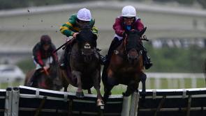 Summer racing preview at Newton Abbot