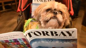 New Torbay Tomorrow: an electrifying look at the Bay