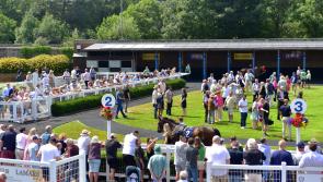 Newton Abbot Racecourse: preview and tips for Monday’s six-race Summer jumps card