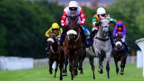 Newton Abbot Racecourse: bookies bashed by quartet of winning favourites