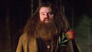 What do Hagrid and a Torquay taxi driver have in common?