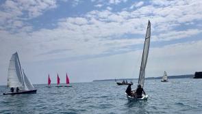 Discover sailing on Paignton Harbour and experience Torbay watersports