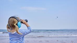 'Once-in-a-generation' seafront upgrade set for Paignton and Preston