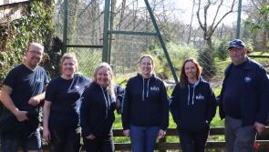 Beer lovers help Bays Brewery raise £30k for endangered animals