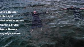 Last day to dive into immersive art world of 'Tribute to Fish'