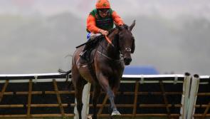 Trip to Newton Abbot Races added to the TUFC 1899 Club Lotto