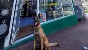 Another six shops in Torbay shut after raids uncover illicit vape sales