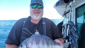 Autumn angling is the best of times for South Devon fish fans