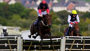 Newton Abbot Racing: double on the day for Twiston-Davies trainers