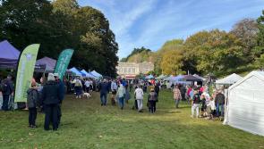 Community Matters: Take a bite of the apple this Autumn