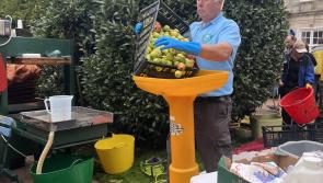 All roads lead to Cockington for Apple Day