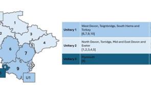 Torbay would lose single unitary status in districts' shake-up plan for councils 