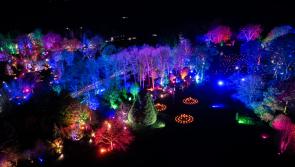 Stunning winter illuminations return to popular Torrington attraction 