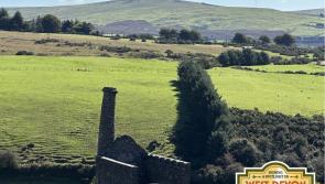 Spotlight on West Devon&rsquo;s mining heritage: The story of Wheal Betsy