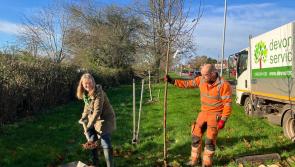 Exeter prepares for National Tree Week with new green initiatives
