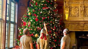 Bovey Castle launches festive ‘Whodunnit’ campaign after iconic Christmas tree star goes missing
