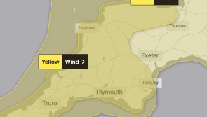 ALERT: Devon braced for Storm Bram with strong winds and overnight downpours expected