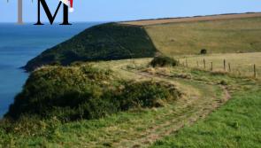 Moorlander Best of 2025: The new way to walk in the South Hams proves a hit