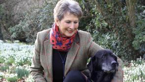 Ingrid Grayling: New chapter for Bovey Tracey dog trainer after 35 years in the fields