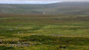 Dartmoor braced for Council Tax rises as towns prepare for major changes