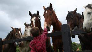 Exeter MP welcomes new animal welfare strategy promising biggest reforms in a generation