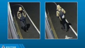 Police renew appeal after fatal collision on road between Ashburton and Buckfastleigh