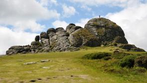 Five ideas for free family days out on Dartmoor this February half term