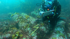 Devon police help create new guidance to help protect historic UK shipwrecks