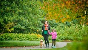 Dogs are now welcome at Torrington&rsquo;s RHS Rosemoor on set week days