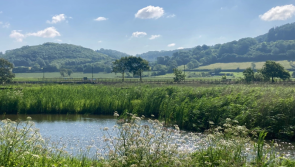 East Devon council ramps up conservation efforts as spring season begins