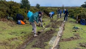 David FitzGerald: The decade-long battle to uncover Dartmoor&rsquo;s lost granite railway
