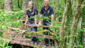 Rare woodland near Lustleigh gains key Dartmoor conservation boost