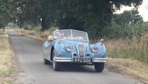 PAUL JOLLY: Jaguar goes for &pound;85,000 in Big Cat Country