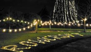 Dedicate a light in memory of a loved one this Christmas