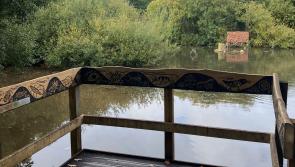 Hannah Worthington: Collecting seeds for the future - and your views on Bay's green spaces