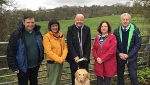 Bid to build new homes for local people in Paignton