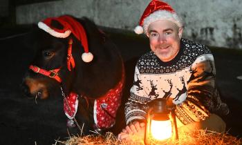 Pictures: Winner Street comes alive for festive Christmas Ramble