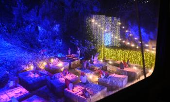 Inside South Devon&rsquo;s most magical Christmas train