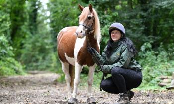VIDEO: &lsquo;We developed this wonderful bond&rsquo; &ndash; rescue pony finds forever home with groom