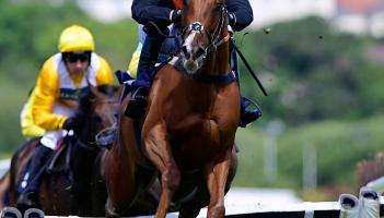 Racing at Newton Abbot. Pic from PPAUK