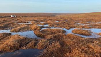 New restoration season begins on Dartmoor
