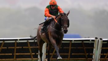 Racing at Newton Abbot. Pic from PPAUK