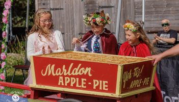 Loki the Staffy steals the show at this year’s Marldon Apple Pie Fair 2025